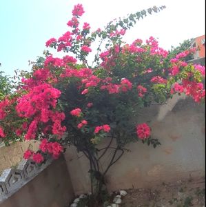 Meet your Posher, Emann